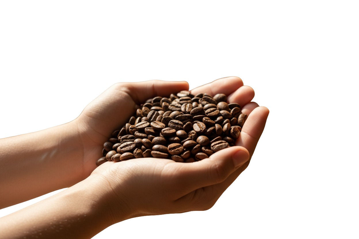 Comprendre le café : Comment mieux choisir votre café selon vos préférences